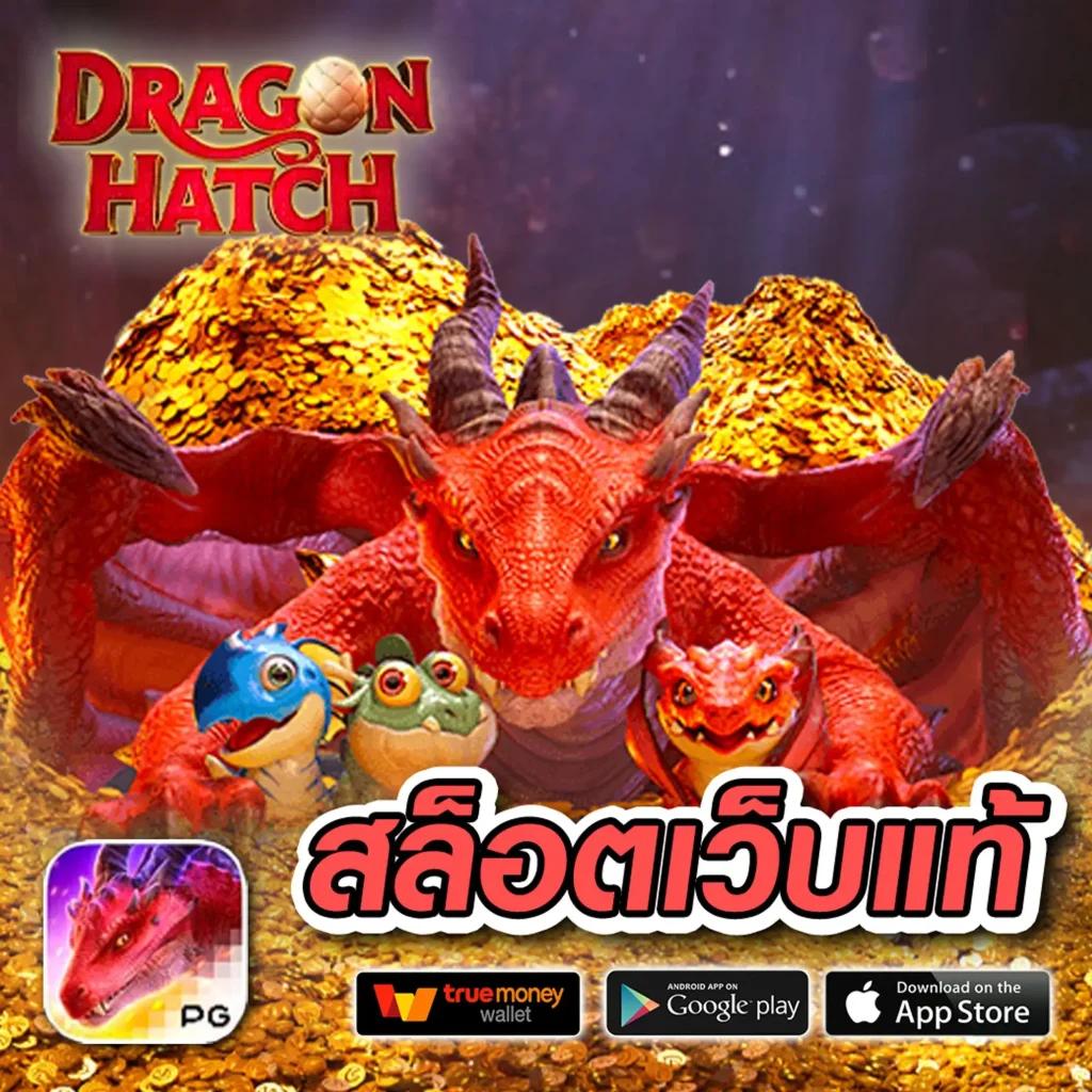 hoox888 คาสิโนครบวงจร ระบบทันสมัย รวมเกมดังสุดฮิตในไทย