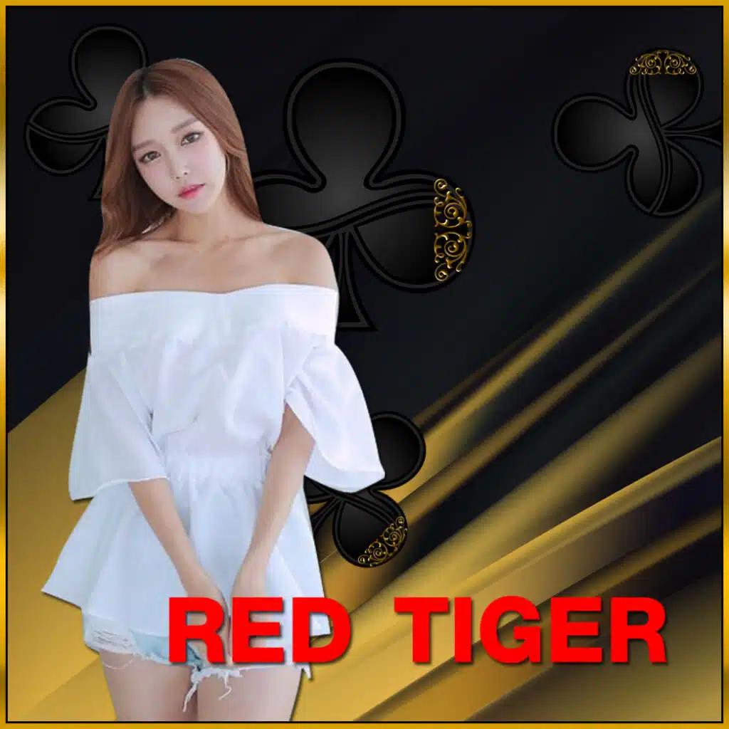 โฮกาเด้น คาสิโนอันดับหนึ่ง เล่นฟรี พร้อมโบนัสสุดคุ้ม
